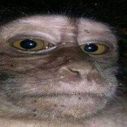 Lud1kS - steam id 76561199560759213