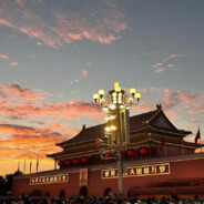 小母牛螺旋上天