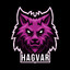 HGVR | eNvi1L