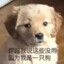开心超人开心就要超人