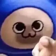 猫的天尊招来术