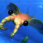 anomalocaris