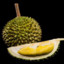 Durian Prad