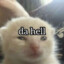 Stazel! :3