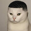 cat$