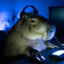 Capivara Gamer