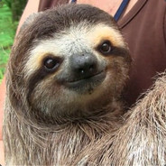 Nathen - steam id 76561197989421402