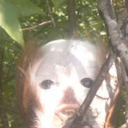 3 Scavs In A Trench Coat