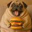 Burger Pug