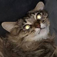 Persik - steam id 76561197979031731