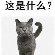 这是猫头猫