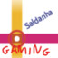 Saldanha Gaming