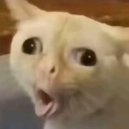 也曾当过她肩膀