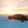 Po1kop из Beamng