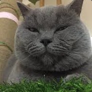 shut up look me carry