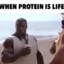 protein rocks