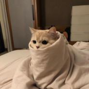 有人 脸上 大残 牛逼 救