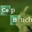 cepbuch