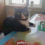 Участник