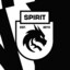 spirit