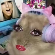 晚上偷玩黎明杀机被老公掰开双腿狂扇贝塔