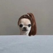 小猫放屁导致全球变暖