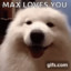 Maxx