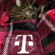 zzz