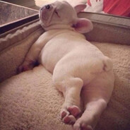 狗熊岭第一突破手涂涂