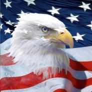 The Eagle [911] avatar
