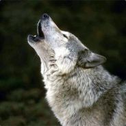 †Pat†Love†Seno