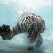 archaic - steam id 76561197961857252
