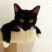 别拉我了我起不来