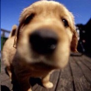 我是大帅哥12138