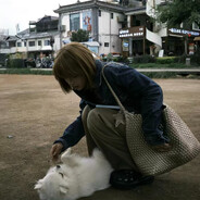 转我跳伞牛子变短