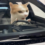 嫂子开门我是我哥