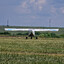matei184
