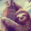 ♔ King Sloth ♔