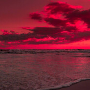 这杯我请客！！！