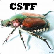 [CSTF]Beetle - steam id 76561197963196863