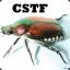 [CSTF]Beetle