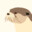 Ottermatic