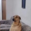 Eduardo