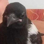 Артем фитнесc