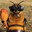 Hepatitis Bee