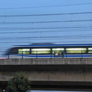 翻斗花园肖大师