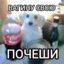 Стив Блоуджобс