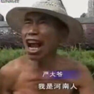 不能骂河南人