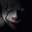 IT  Do you want to float