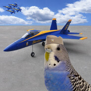The Stuka Parrot